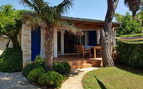 Mediterranean Beach House